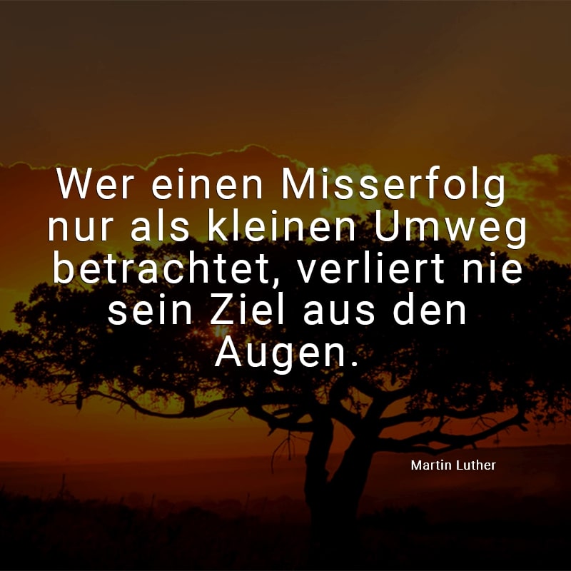 Wer einen Misserfolg nur als kleinen Umweg betrachtet, verliert nie sein Ziel aus den Augen.
(Martin Luther)