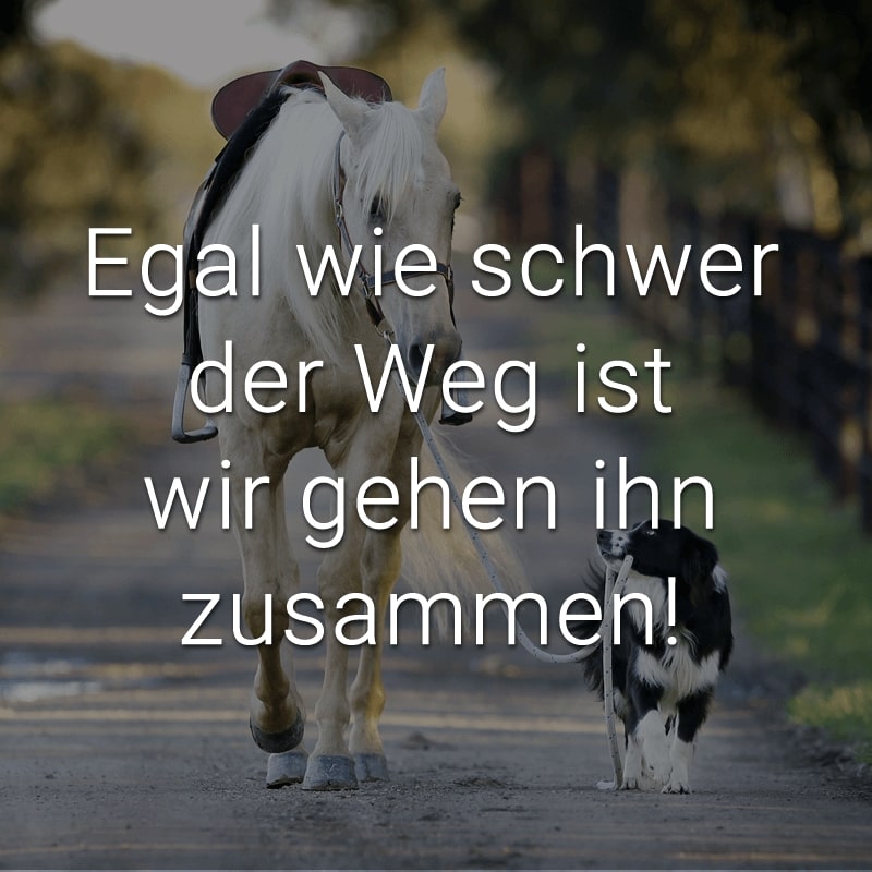 Egal wie schwer der Weg ist wir gehen ihn zusammen!