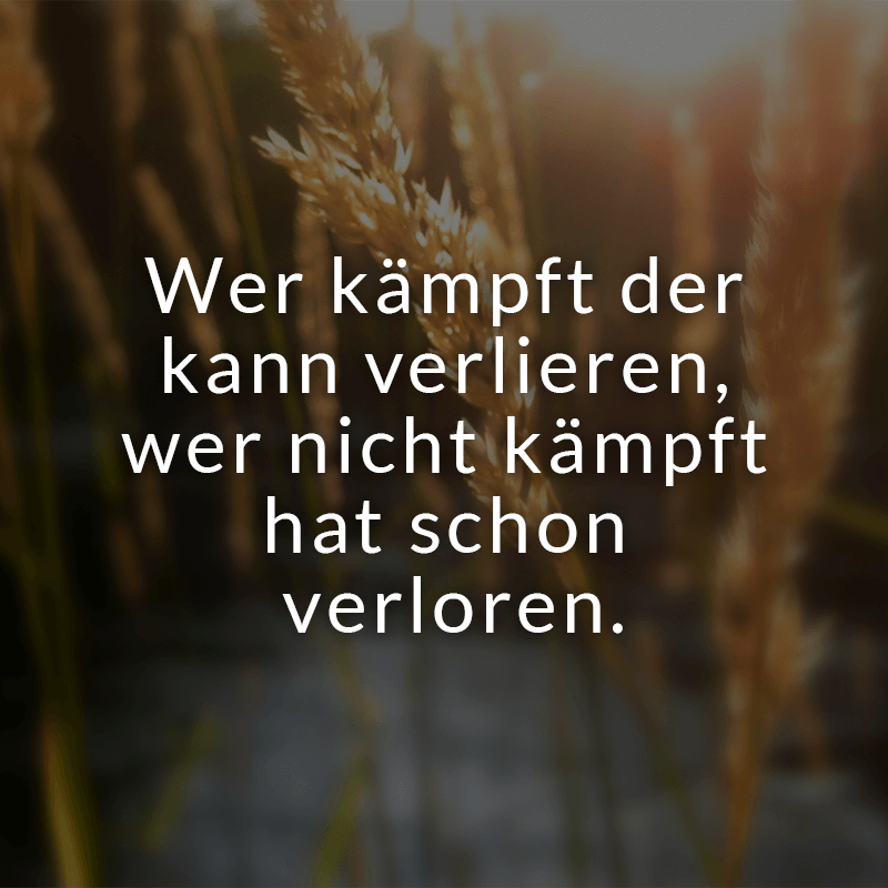 ᐅ Wer kämpft der kann verlieren, wer nicht kämpft hat schon verloren.