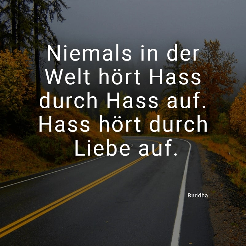 Niemals in der Welt hört Hass durch Hass auf. Hass hört durch Liebe auf.
(Buddha)