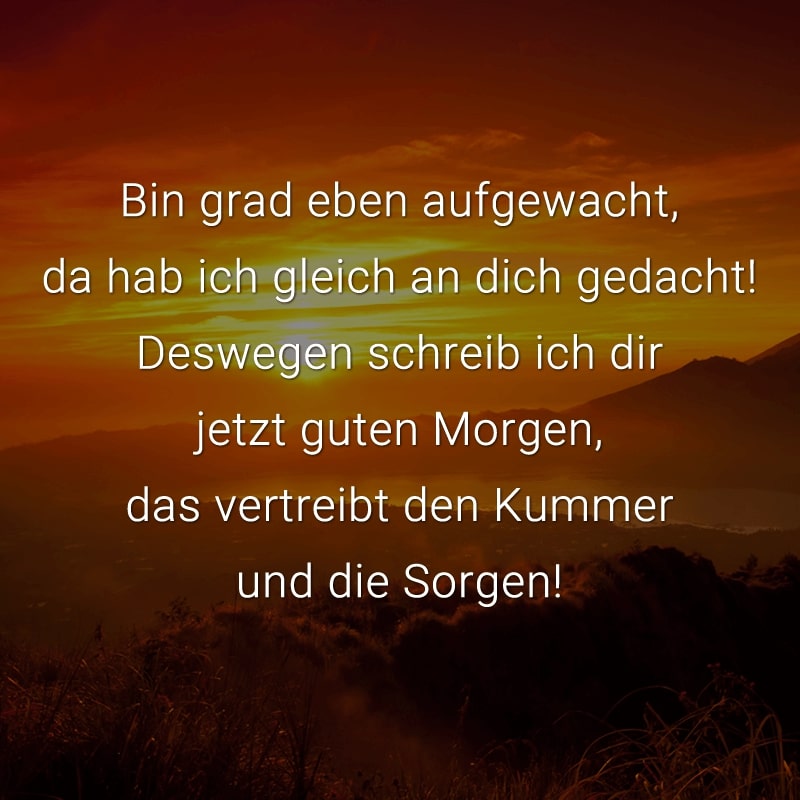 Bin grad eben aufgewacht,
da hab ich gleich an dich gedacht!
Deswegen schreib ich dir jetzt guten Morgen,
das vertreibt den Kummer und die Sorgen!