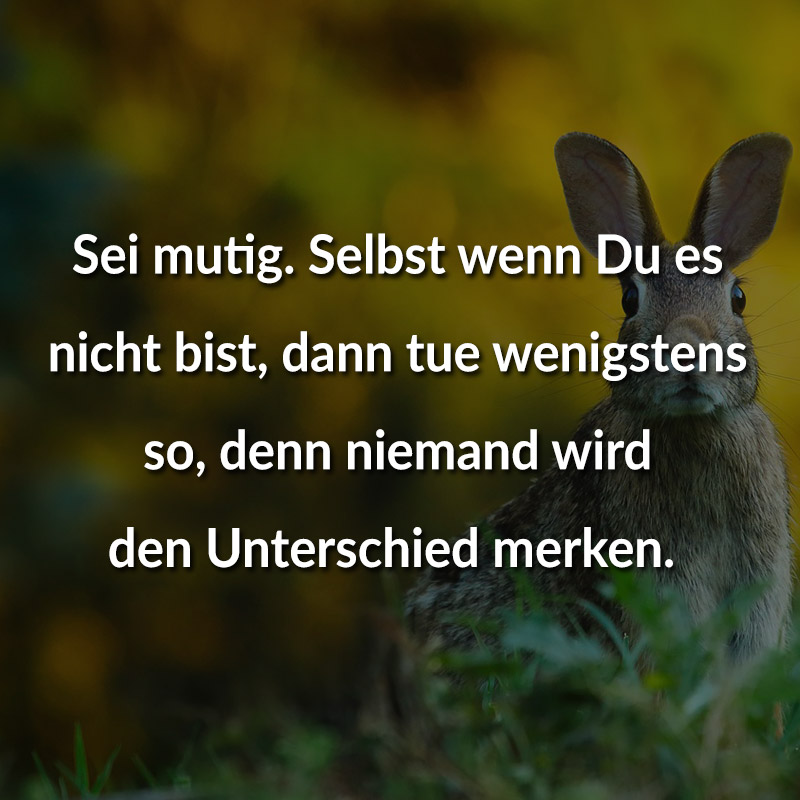 Sei mutig. Selbst wenn Du es nicht bist, dann tue wenigstens so, denn niemand wird den Unterschied merken.