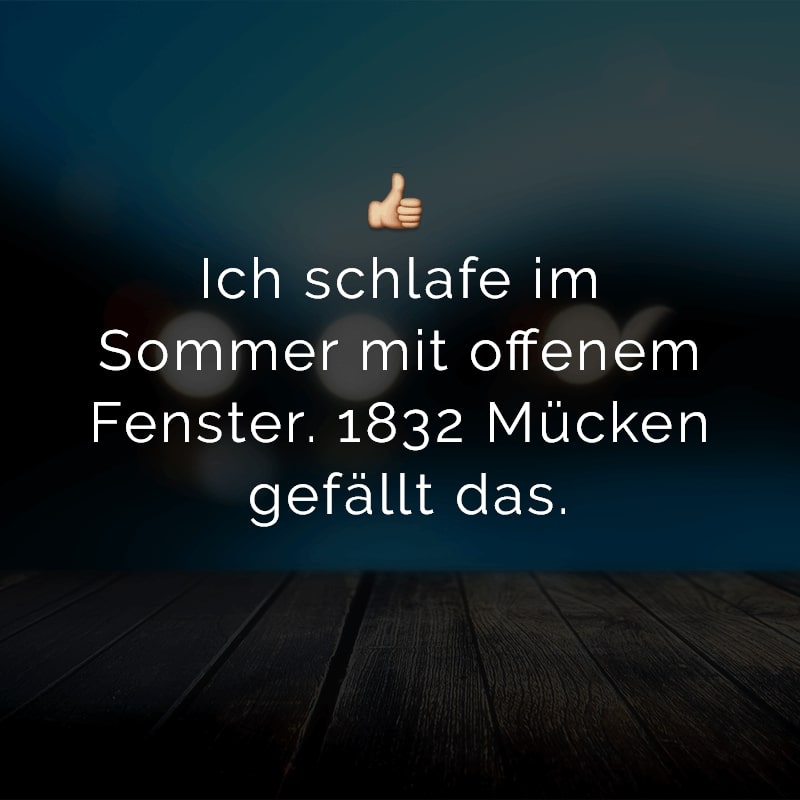 Ich schlafe im Sommer mit offenem Fenster. 1832 Mücken gefällt das.