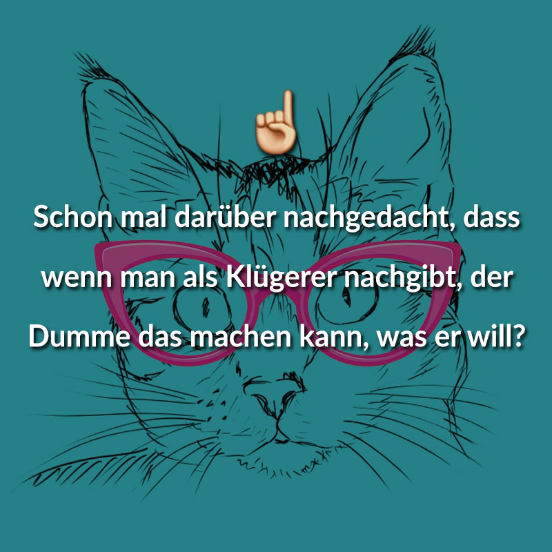 Schon mal darüber nachgedacht, dass wenn man als Klügerer nachgibt, der Dumme das machen kann, was er will?