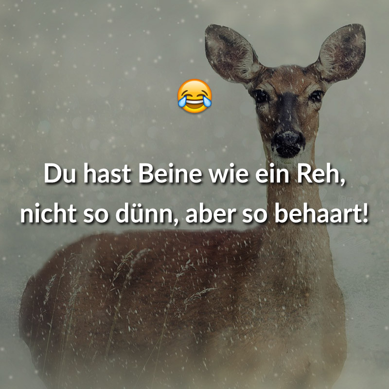 Du hast Beine wie ein Reh, nicht so dünn, aber so behaart!