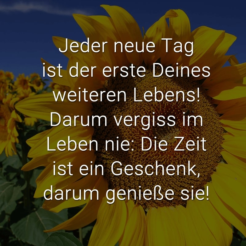 Jeder neue Tag ist der erste Deines weiteren Lebens! Darum vergiss im Leben nie: Die Zeit ist ein Geschenk, darum genieße sie!