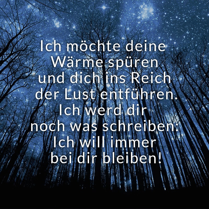 Ich möchte deine Wärme spüren
und dich ins Reich der Lust entführen.
Ich werd dir noch was schreiben:
Ich will immer bei dir bleiben!