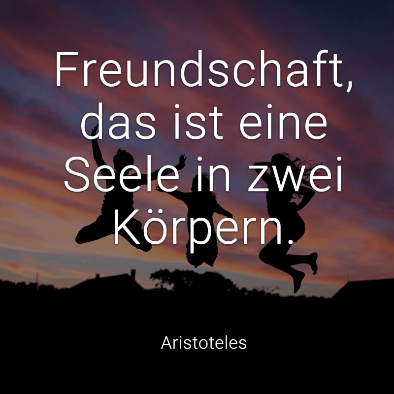 Freundschaft, das ist eine Seele in zwei Körpern.
(Aristoteles)