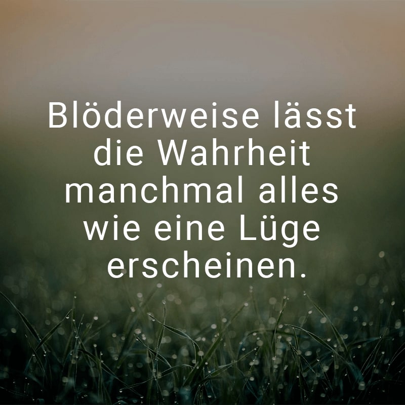 Blöderweise lässt die Wahrheit manchmal alles wie eine Lüge erscheinen.