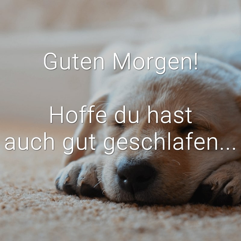 Guten Morgen!
Hoffe du hast auch gut geschlafen...