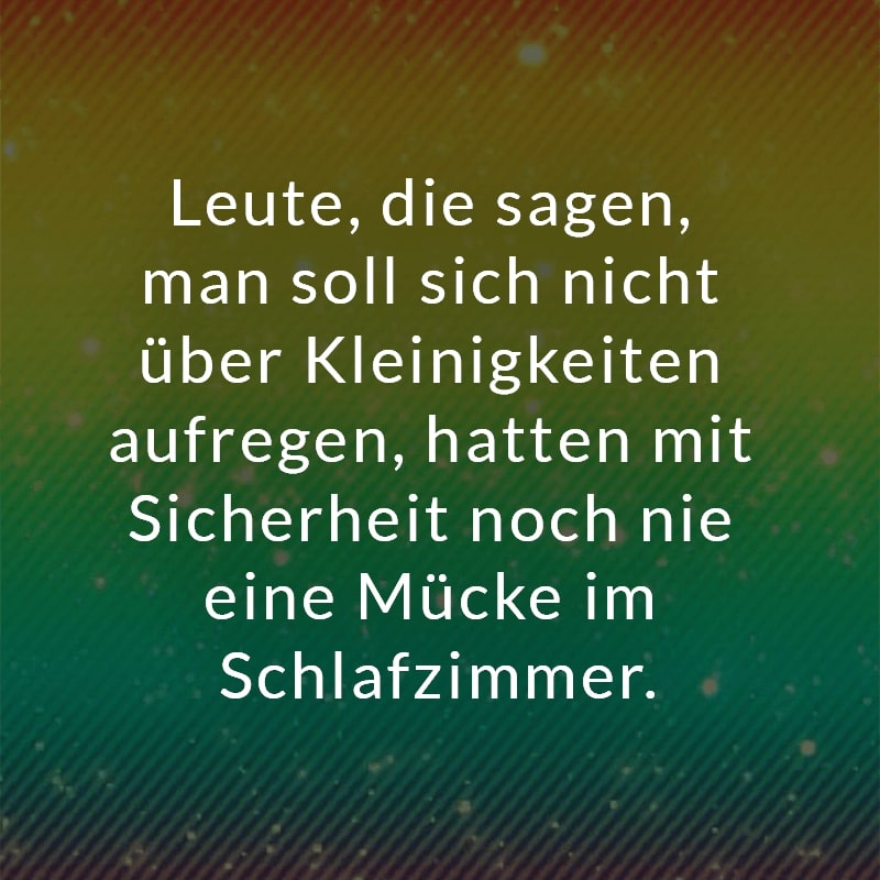 Leute, die sagen, man soll sich nicht über Kleinigkeiten aufregen, hatten mit Sicherheit noch nie eine Mücke im Schlafzimmer.