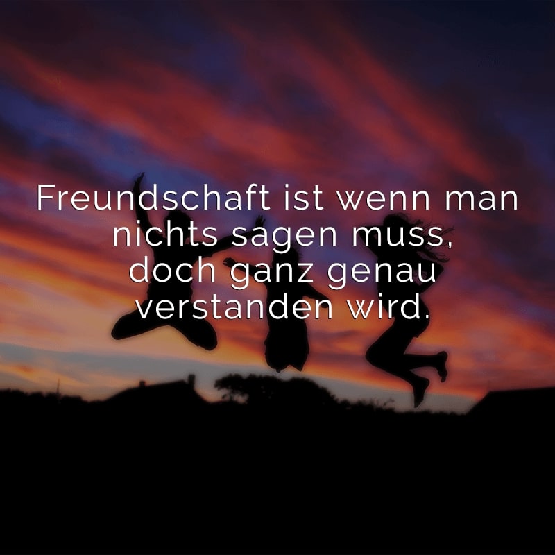 Freundschaft ist wenn man nichts sagen muss, doch ganz genau verstanden wird.