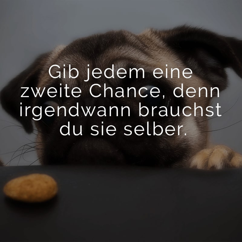 Gib jedem eine zweite Chance, denn irgendwann brauchst du sie selber.