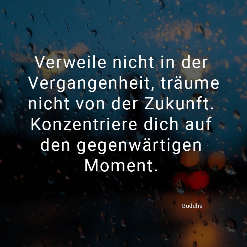 Verweile nicht in der Vergangenheit, träume nicht von der Zukunft. Konzentriere dich auf den gegenwärtigen Moment.
(Buddha)