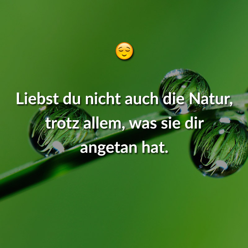 Liebst du nicht auch die Natur, trotz allem, was sie dir angetan hat.