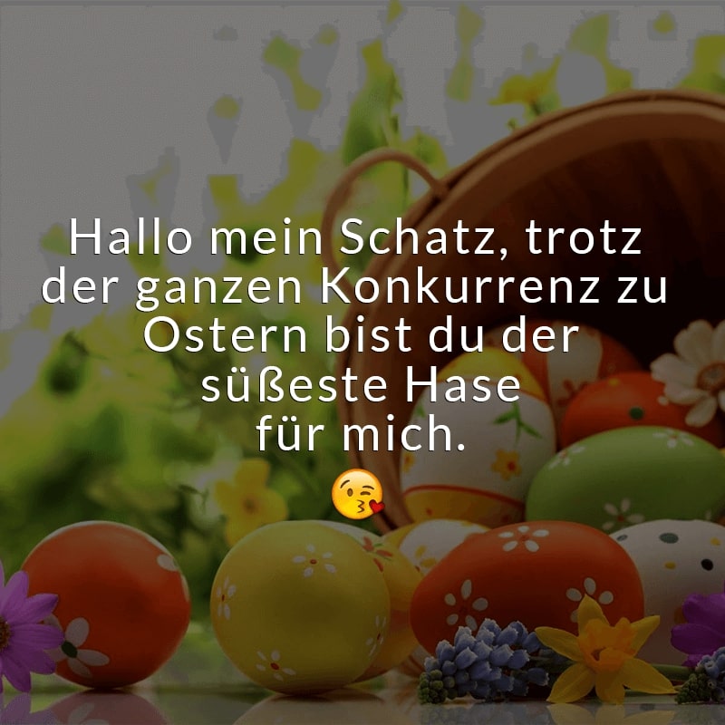 Hallo mein Schatz, trotz der ganzen Konkurrenz zu Ostern bist du der süßeste Hase für mich.