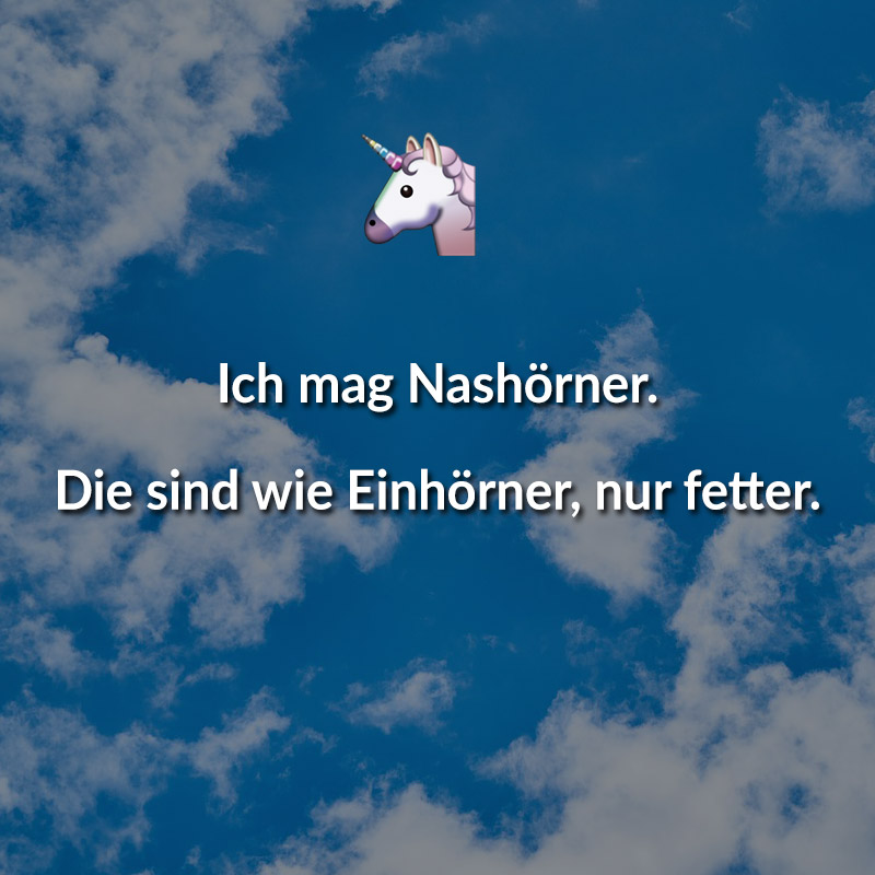 Ich mag Nashörner. Die sind wie Einhörner, nur fetter.