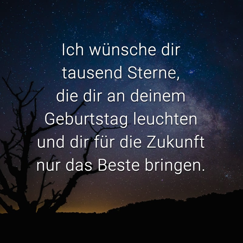 Ich wünsche dir tausend Sterne, die dir an deinem Geburtstag leuchten und dir für die Zukunft nur das Beste bringen.