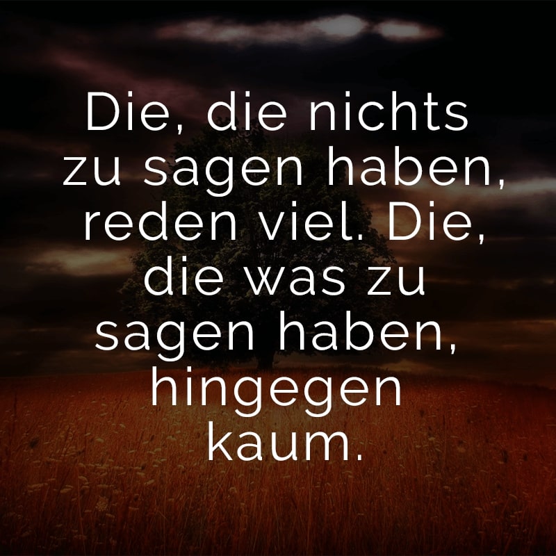 Die, die nichts zu sagen haben, reden viel. Die, die was zu sagen haben, hingegen kaum.