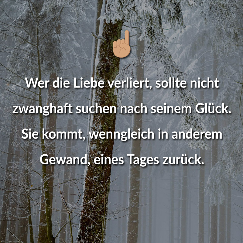 Wer die Liebe verliert, sollte nicht zwanghaft suchen nach seinem Glück.
Sie kommt, wenngleich in anderem Gewand, eines Tages zurück.