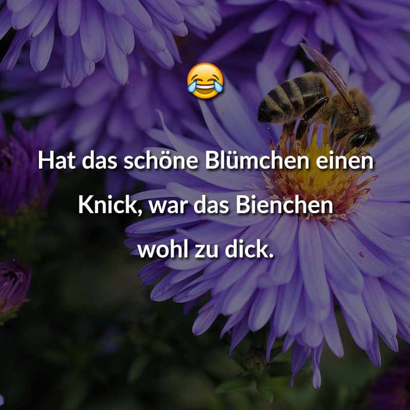 Hat das schöne Blümchen einen Knick, war das Bienchen wohl zu dick.