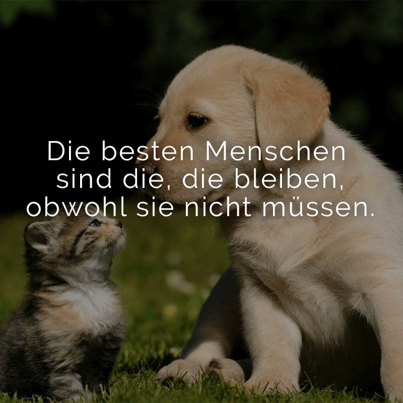 Die besten Menschen sind die, die bleiben, obwohl sie nicht müssen.