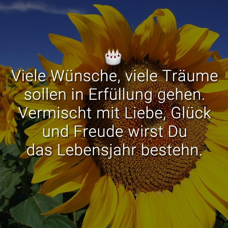 Viele Wünsche, viele Träume sollen in Erfüllung gehen. Vermischt mit Liebe, Glück und Freude wirst Du das Lebensjahr bestehn.