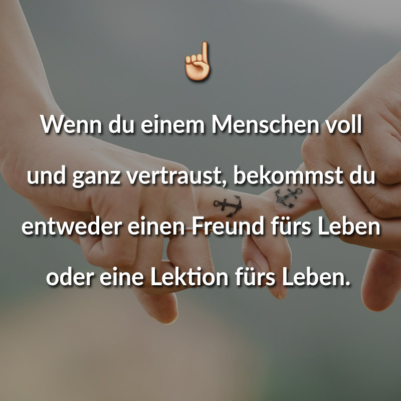 Wenn du einem Menschen voll und ganz vertraust, bekommst du entweder einen Freund fürs Leben oder eine Lektion fürs Leben.