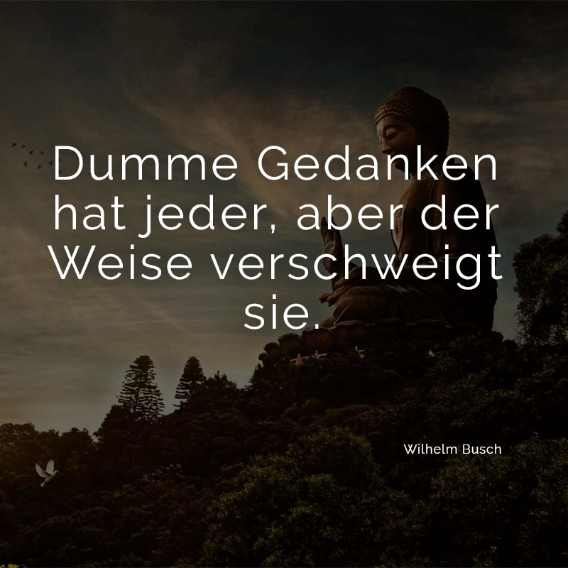 Dumme Gedanken hat jeder, aber der Weise verschweigt sie.
(Wilhelm Busch)