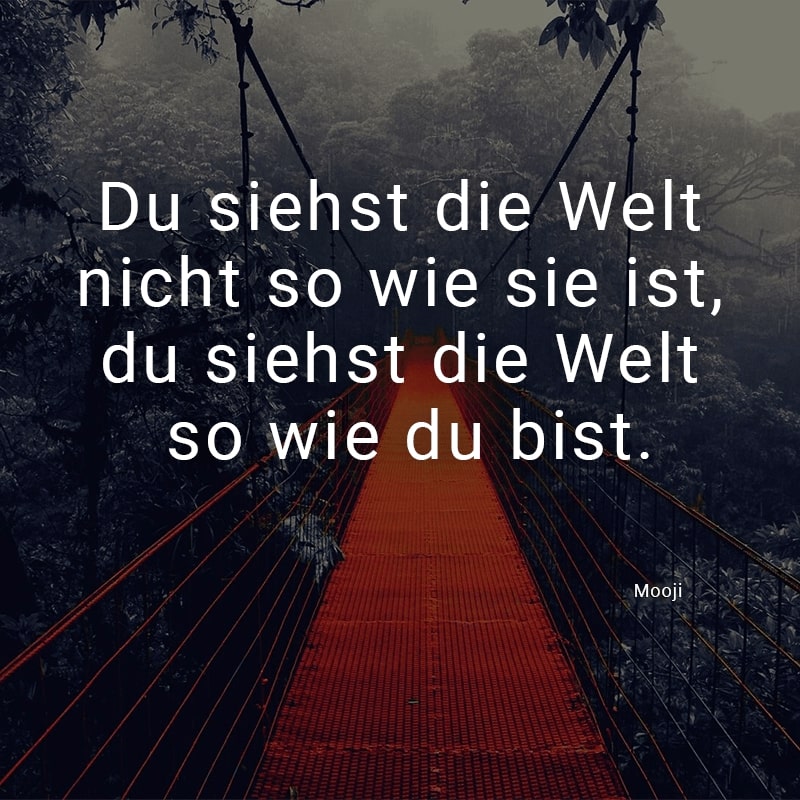 Du siehst die Welt nicht so wie sie ist, du siehst die Welt so wie du bist.
(Mooji)