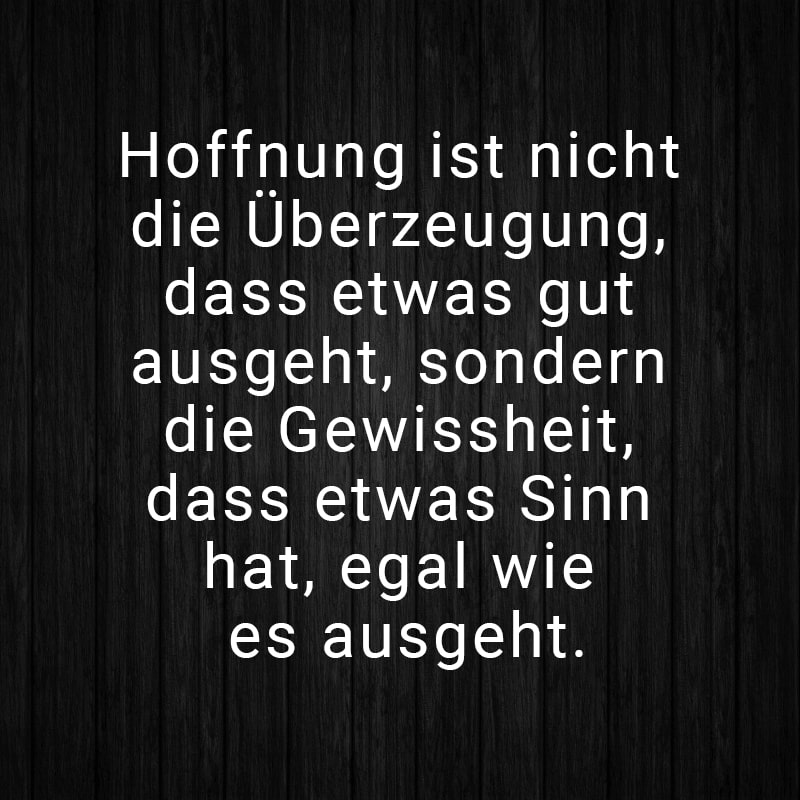 Hoffnung ist nicht die Überzeugung, dass etwas gut ausgeht, sondern die Gewissheit, dass etwas Sinn hat, egal wie es ausgeht.