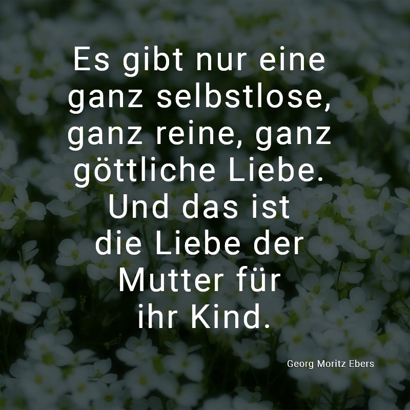 Es gibt nur eine ganz selbstlose, ganz reine, ganz göttliche Liebe. Und das ist die Liebe der Mutter für ihr Kind.
(Georg Moritz Ebers)