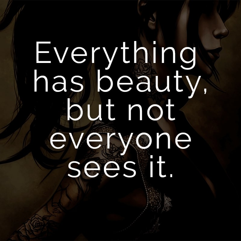 Everything has beauty, but not everyone sees it. (Englisch für: Schönheit ist in allem, aber nicht jeder sieht es.)