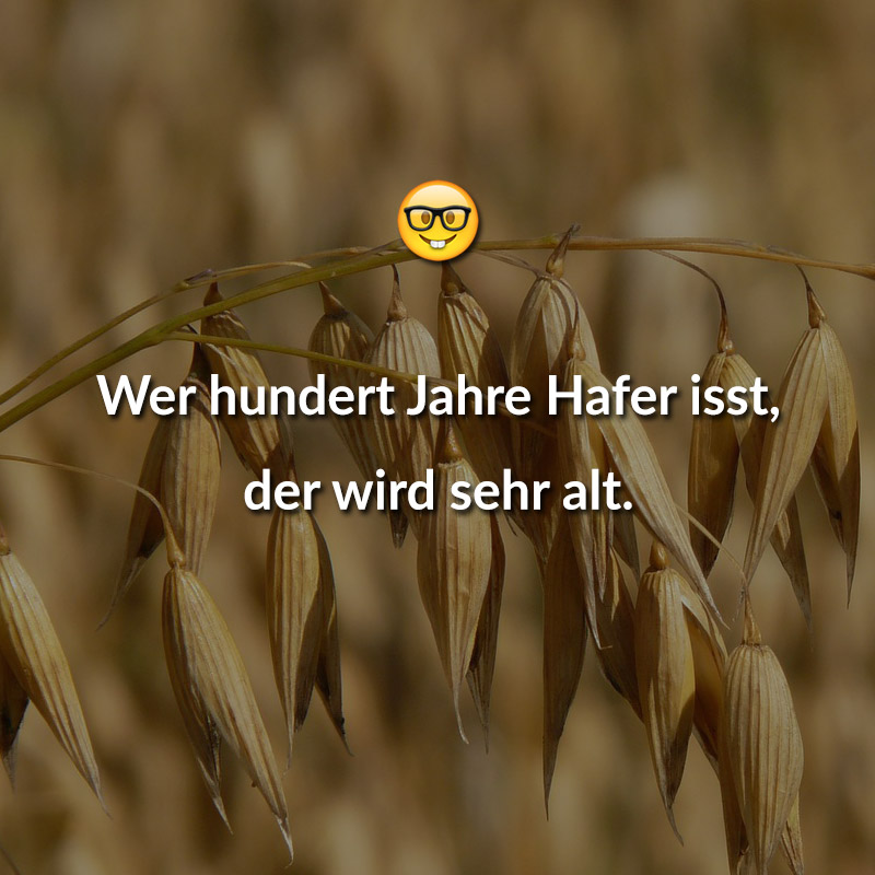 Wer hundert Jahre Hafer isst, der wird sehr alt.