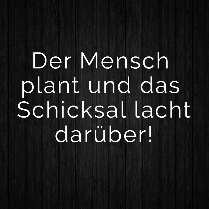 Der Mensch plant und das Schicksal lacht darüber!