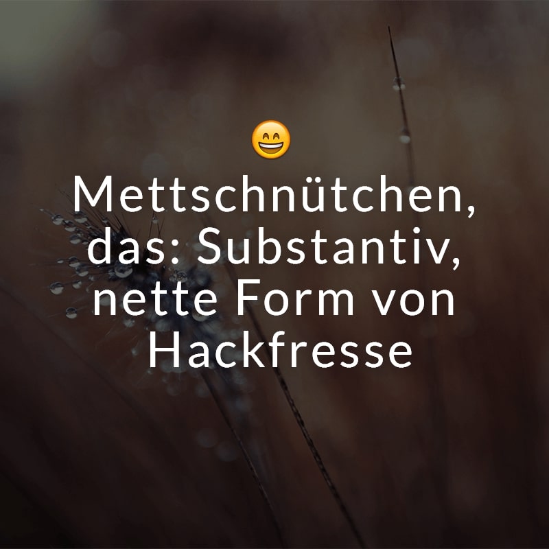 Mettschnütchen, das: Substantiv, nette Form von Hackfresse