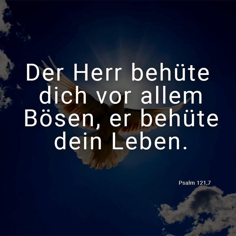 Der Herr behüte dich vor allem Bösen, er behüte dein Leben.
(Psalm 121,7)