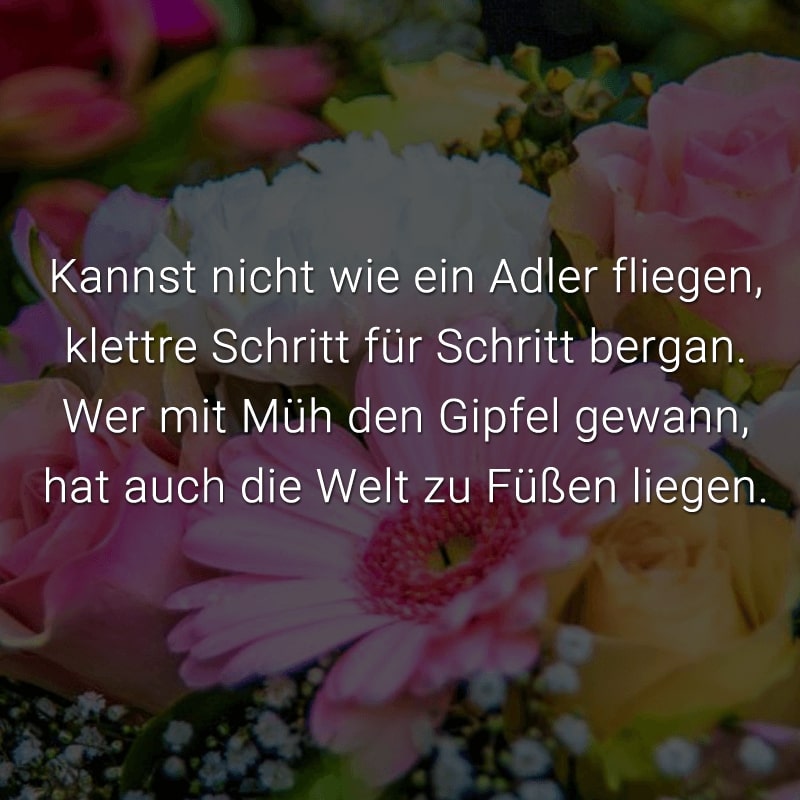 Kannst nicht wie ein Adler fliegen,
klettre Schritt für Schritt bergan.
Wer mit Müh den Gipfel gewann,
hat auch die Welt zu Füßen liegen.