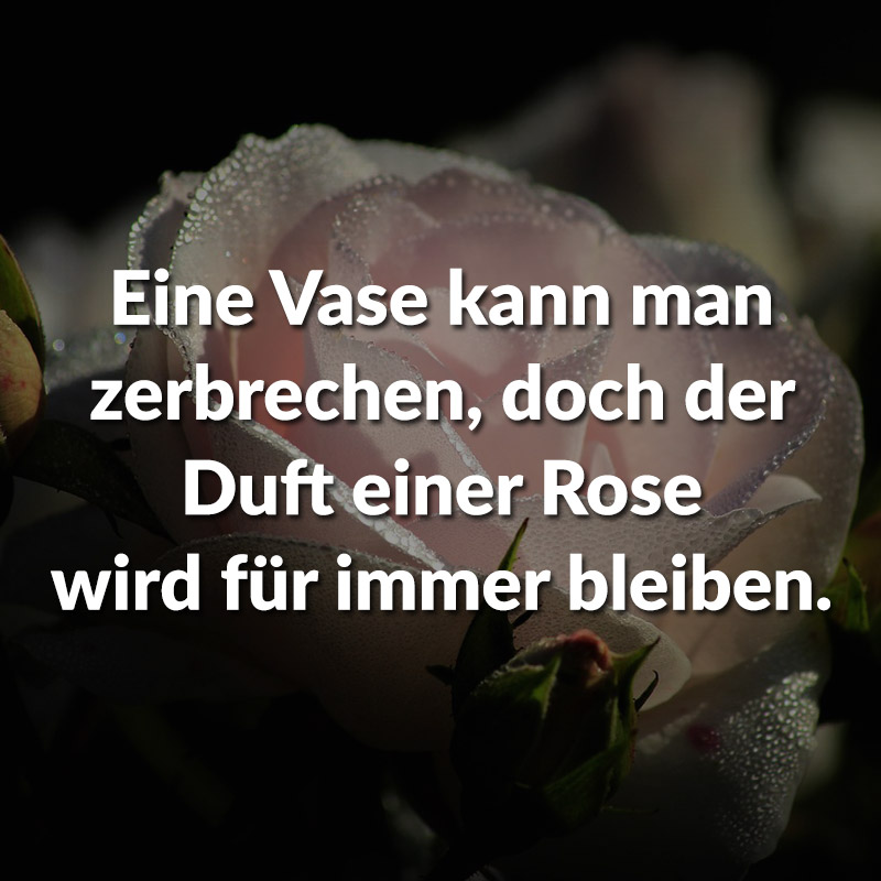 Eine Vase kann man zerbrechen, doch der Duft einer Rose wird für immer bleiben.