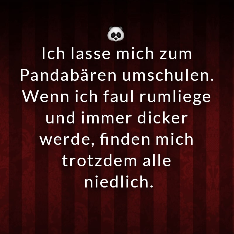 Ich lasse mich zum Pandabären umschulen. Wenn ich faul rumliege und immer dicker werde, finden mich trotzdem alle niedlich.