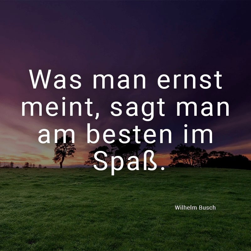 Was man ernst meint, sagt man am besten im Spaß.
(Wilhelm Busch)