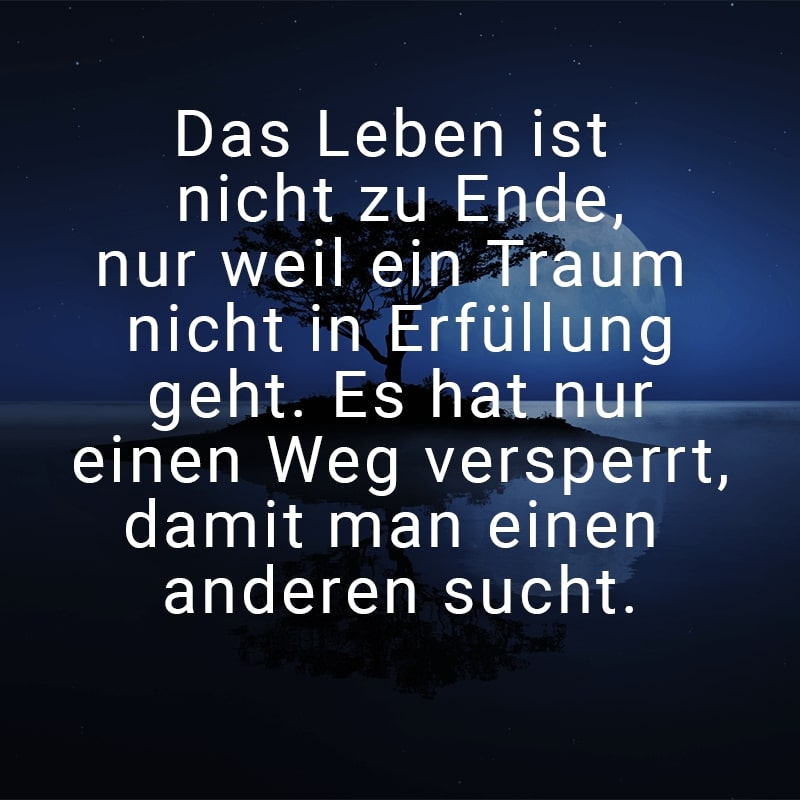 Das Leben ist nicht zu Ende, nur weil ein Traum nicht in Erfüllung geht. Es hat nur einen Weg versperrt, damit man einen anderen sucht.