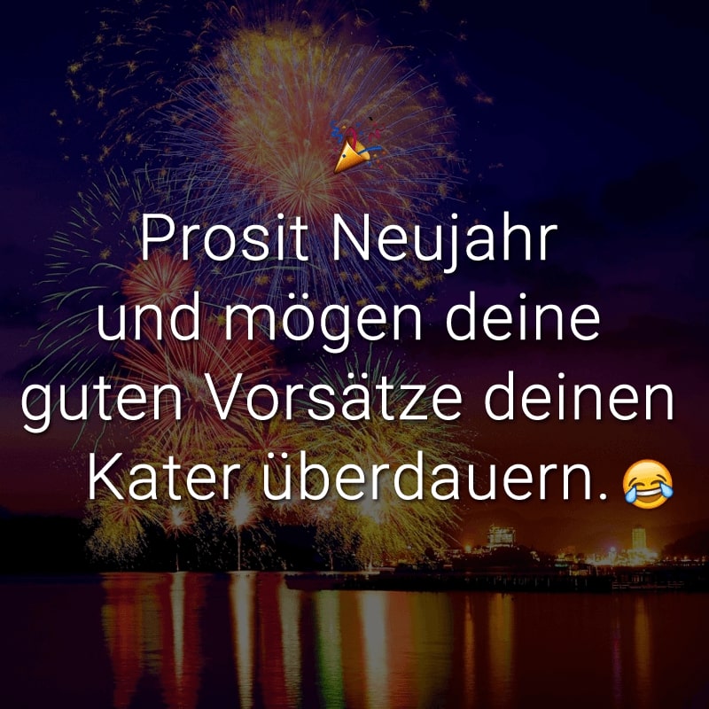 Prosit Neujahr und mögen deine guten Vorsätze deinen Kater überdauern.