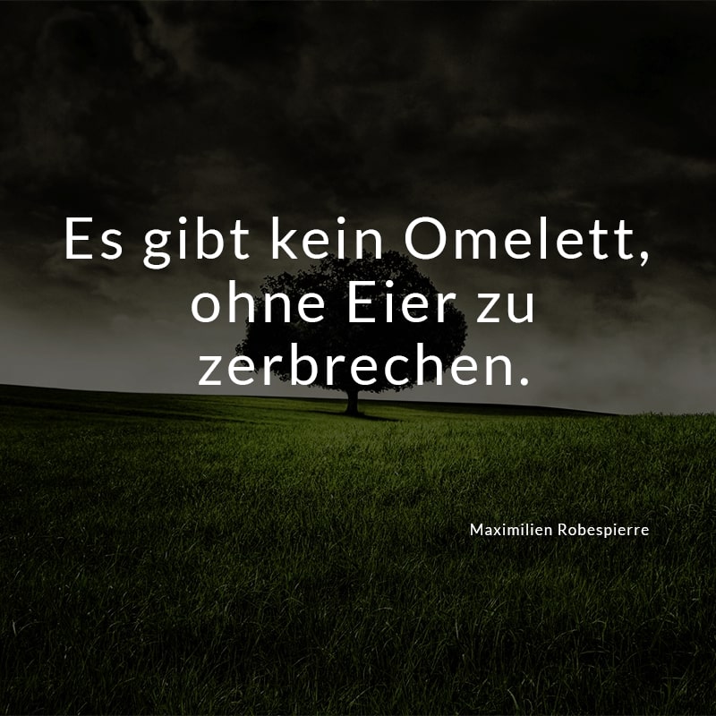 Es gibt kein Omelett, ohne Eier zu zerbrechen.
(Maximilien Robespierre)