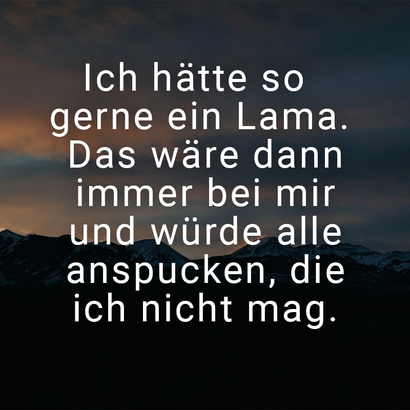 Ich hätte so gerne ein Lama. Das wäre dann immer bei mir und würde alle anspucken, die ich nicht mag.