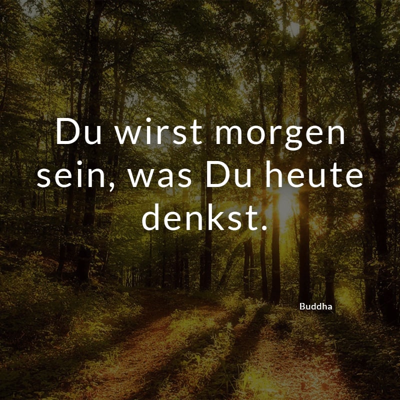 Du wirst morgen sein, was Du heute denkst.
(Buddha)