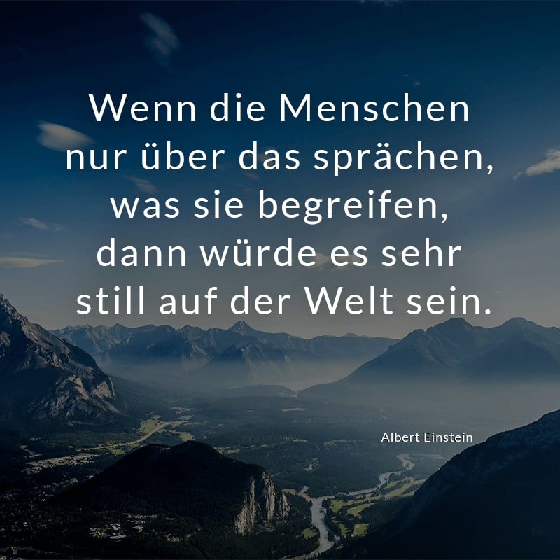 Wenn die Menschen nur über das sprächen, was sie begreifen, dann würde es sehr still auf der Welt sein.
(Albert Einstein)