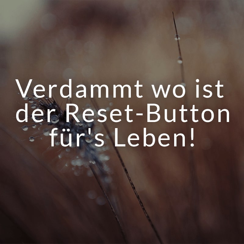 Verdammt wo ist der Reset-Button für's Leben!