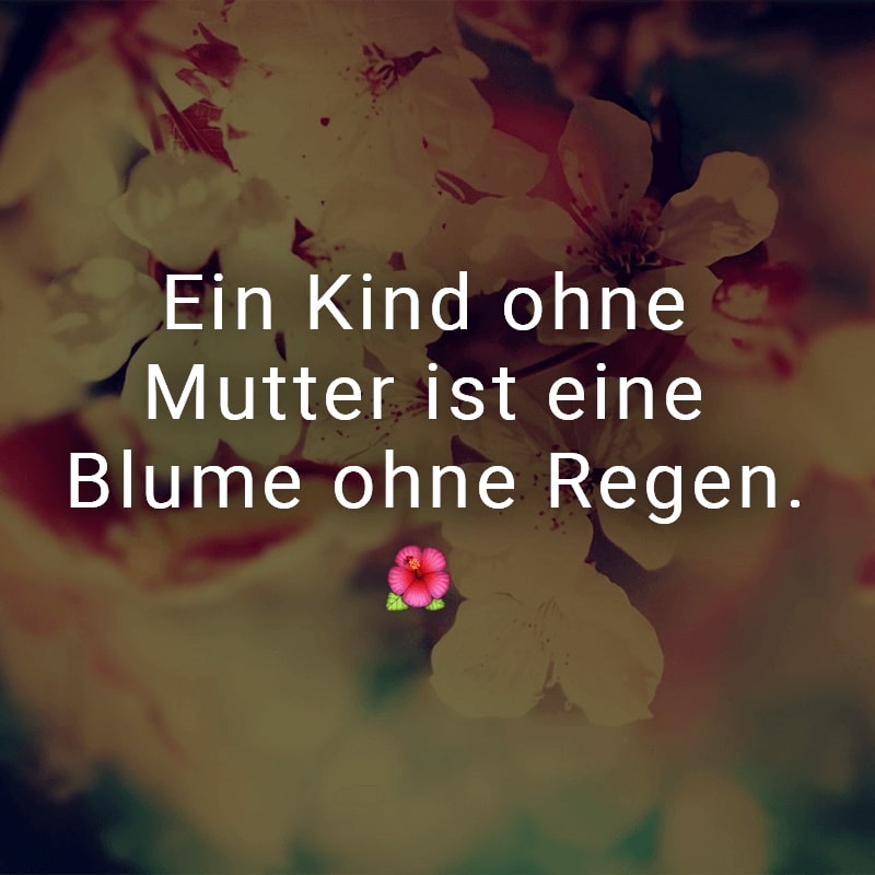 Ein Kind ohne Mutter ist eine Blume ohne Regen.