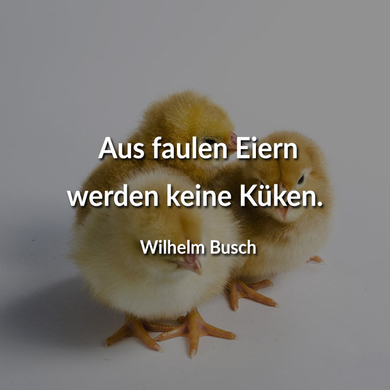 Aus faulen Eiern werden keine Küken. (Wilhelm Busch)